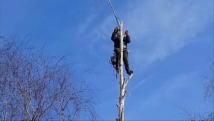 Paysagiste Petit, Paysagiste à Vergongheon