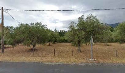 Eco Jardin, Paysagiste à Argelès-sur-Mer