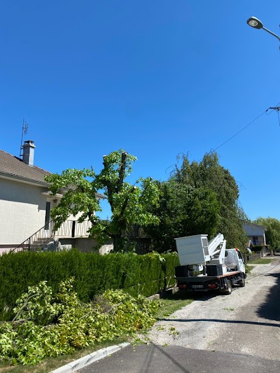 ENTREPRISE VM ESPACES VERTS: Élagueur - Abattage d'arbres Entretien Taille de Haies Camion-Nacelle 58 Nièvre Clamecy Varzy, Paysagiste à Clamecy