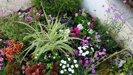 Ambiance Parcs & Jardins, Paysagiste à Corcelles-les-Arts