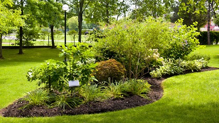 Paysage Alain Kibler, Paysagiste à Illzach