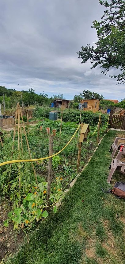 Thalya paysage, Paysagiste à Cabestany