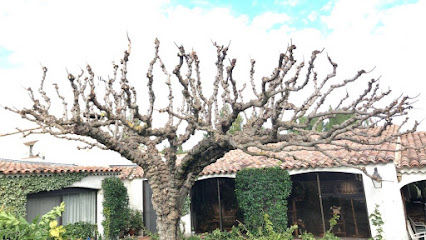 Coupas Jardins | Maussane, Paysagiste à Maussane-les-Alpilles