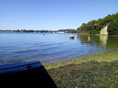 Le Sommer Jardin, Paysagiste à Sarzeau