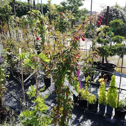 Jardins Réalisation, Paysagiste à Joigny