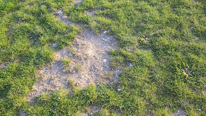 GB Nature, Paysagiste à Boiry-Becquerelle