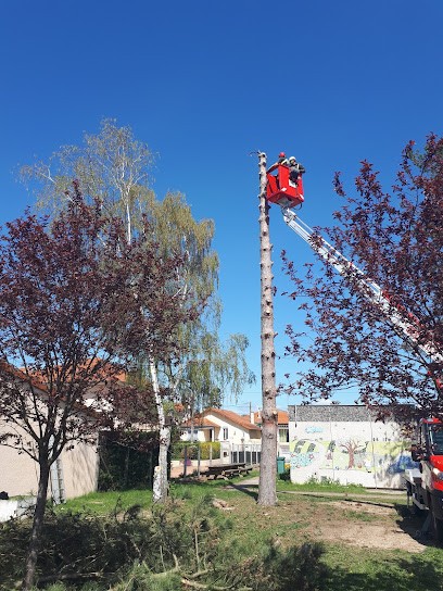 Vert Avenir, Paysagiste à Lentigny