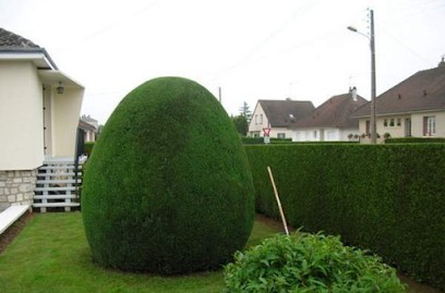 Anthony Pellicer Élagage Espaces Verts, Paysagiste à Eybens