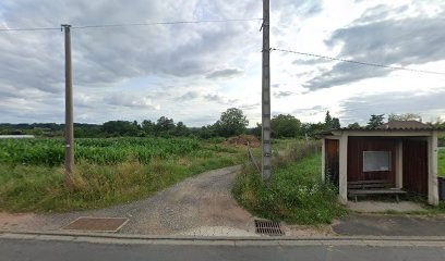 PROFESSIONNELS A DOMICILE, Paysagiste à Thiers