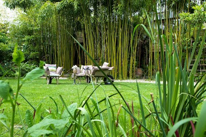 Horticulture et Jardins, Paysagiste à Saint-Prix