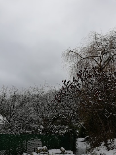 Bouillard-paysage, Paysagiste à Mareil-Marly