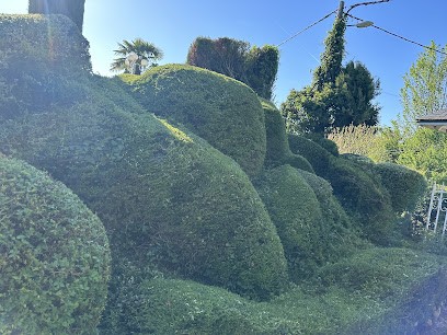 Darwin Environnement, Paysagiste à Avressieux