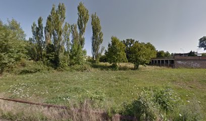 ALVES TERRIER, Paysagiste à Gueugnon