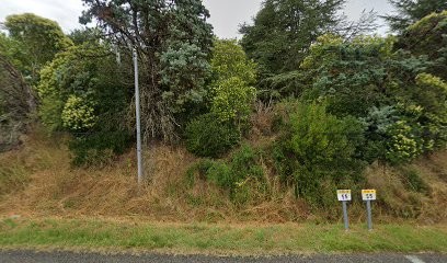 SARL Couleurs Paysage, Paysagiste à Monestrol