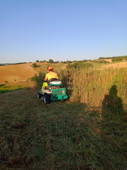 SARL 2T Paysage, Paysagiste à Montdurausse