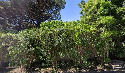 ADOUR LANDSCAPE LLC, Paysagiste à Grimaud