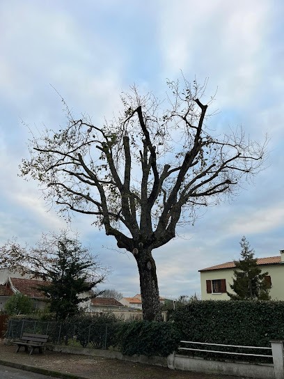 Rousseau Fils Paysagiste, Paysagiste à Saint-Sulpice-de-Royan