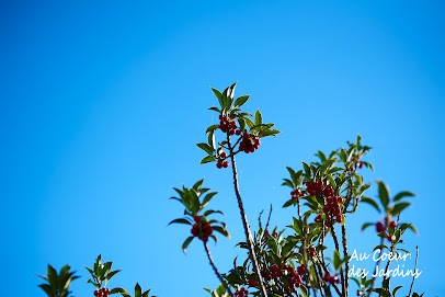 Au Cœur Des Jardins - Jardin Conseil, Paysagiste à Villaines-la-Juhel