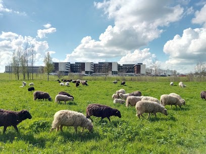 ECO-PATURE BREIZH, Paysagiste à Silfiac