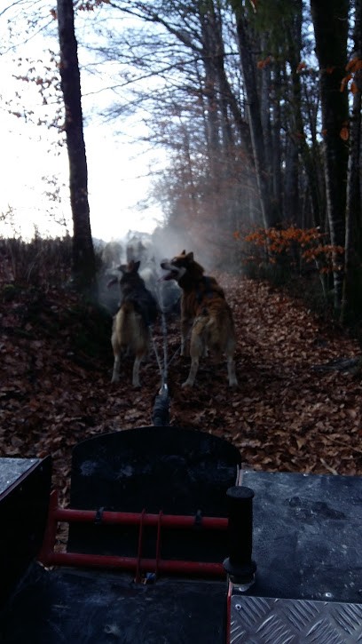 BIDAL PAYSAGE, Paysagiste à Vailly