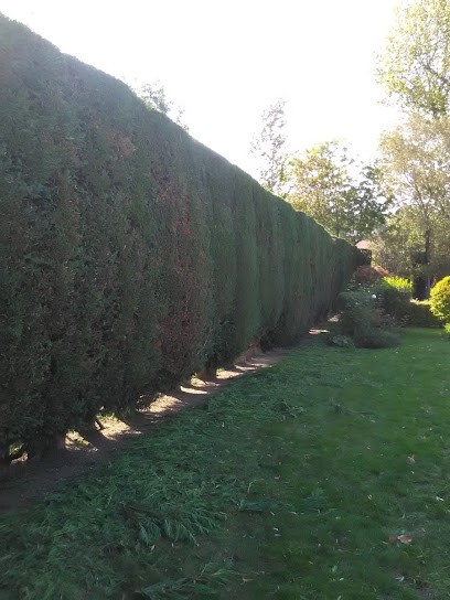 Grandeur-paysage-environnement, Paysagiste à Montigny-en-Arrouaise