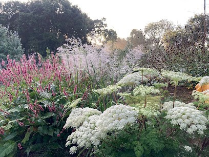 Carré Vert, Paysagiste à Pédernec