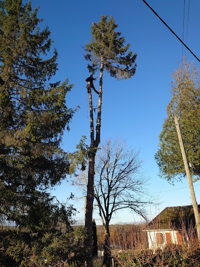 Le Jardiniste 23, Paysagiste à Bellegarde-en-Marche