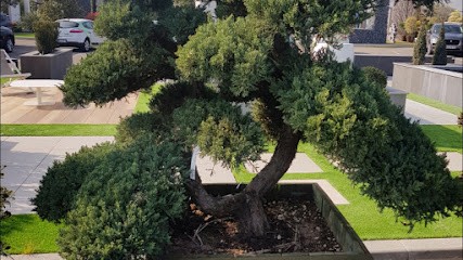 DMcréation, Paysagiste à Tignieu-Jameyzieu