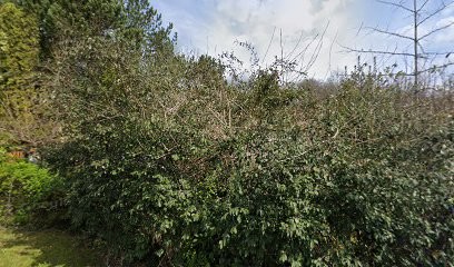 Carteron Jean-Patrick, Paysagiste à Verneuil-sur-Vienne