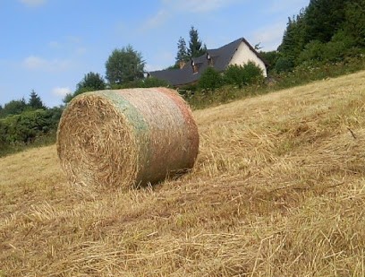 Eau de Jardin, Paysagiste à Canapville