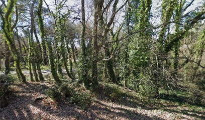 Les Jardins du Tricastin, Paysagiste à Saint-Paul-Trois-Châteaux