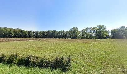 Au Nain De Jardin, Paysagiste à Crissey
