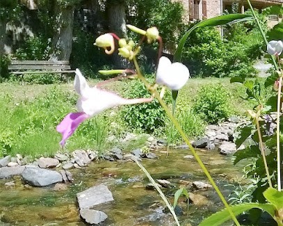 Laurent Viala Paysages Jardin Art Et Potager, Paysagiste à Castres