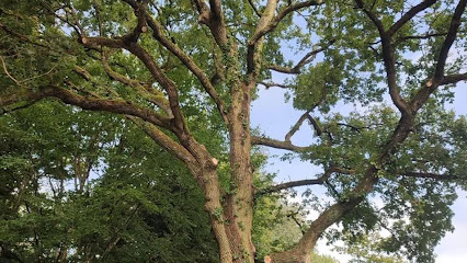 Arbres Et Cimes Paysagiste à Thimert-Gâtelles