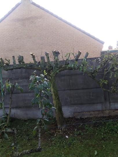 Au services de Johan, Paysagiste à Liévin