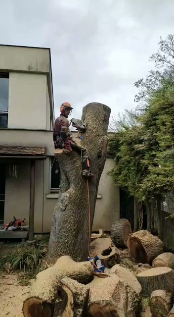 Jarry paysage, Paysagiste à Villemomble