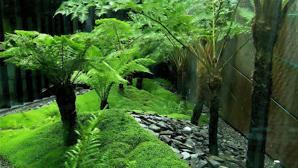 Le Grand Pari Végétal By Ceven Up Garden, Paysagiste à Saint-Maur-des-Fossés