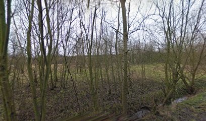 Brame Espaces Verts Sarl, Paysagiste à Verlinghem