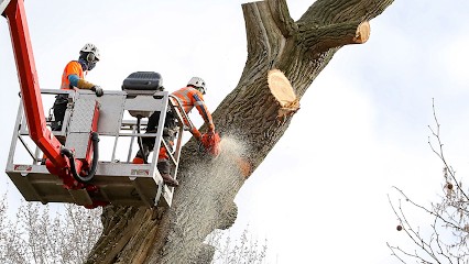 MIRAILH ARBORISTE, Paysagiste à Mérens