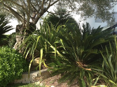 Orchidia Jardin, Paysagiste à Montech