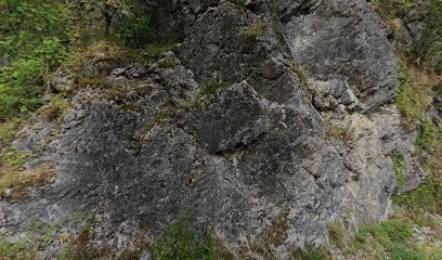 Service Municipal Espaces Verts, Paysagiste à Saint-Claude