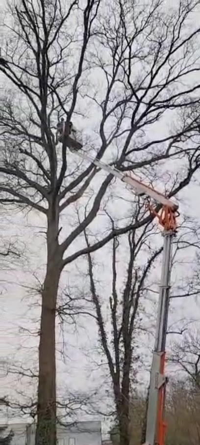 Entreprise Michel Elagage 65 : Paysagiste Haute Pyrénées, Paysagiste à Ibos