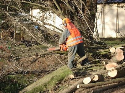 Georgeault Paysagistes, Paysagiste à La Chapelle-Saint-Aubert