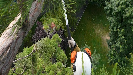 La Cisaille D'Or (Sarl), Paysagiste à Monts