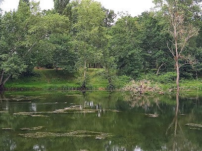 YC PAYSAGE, Paysagiste à Ormes