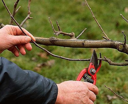 Espaces Verts Mayeur, Paysagiste à Lens