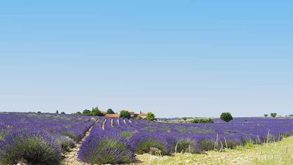 IMBERT ESPACE VERT, Paysagiste à Saint-Mamert-du-Gard