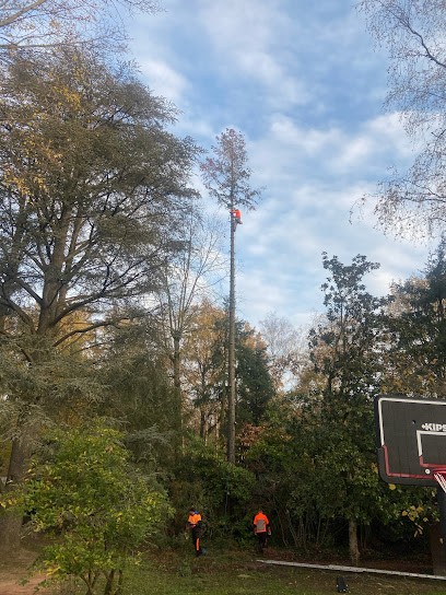 SB JARDINIER, Paysagiste à Tassin-la-Demi-Lune