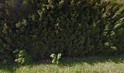 PERFECT PAYSAGE, Paysagiste à Pexiora