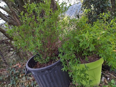 Les Jardins D'airelle, Paysagiste à Vialas